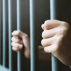 Image for post 380786