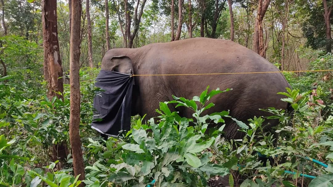 Image for post 350679