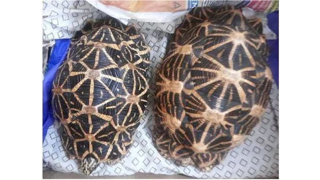 Image for post 328073