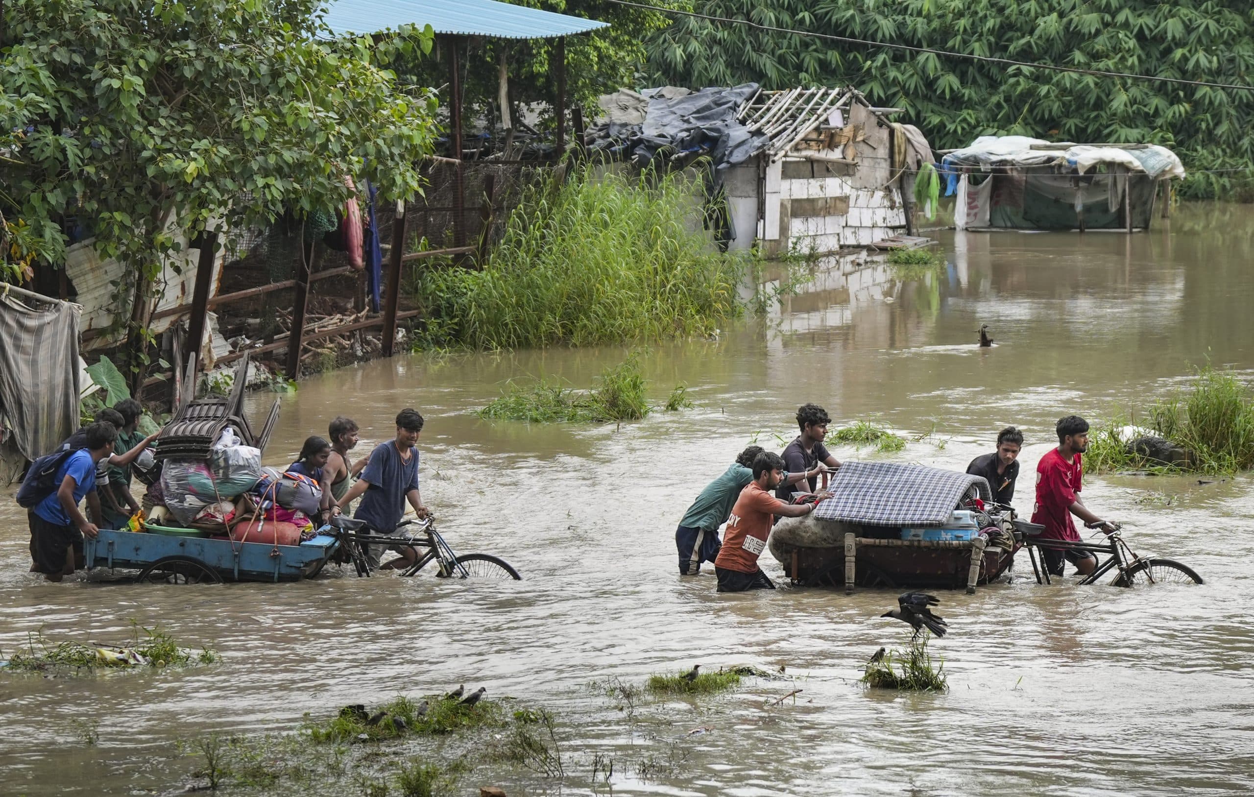 Image for post 312602