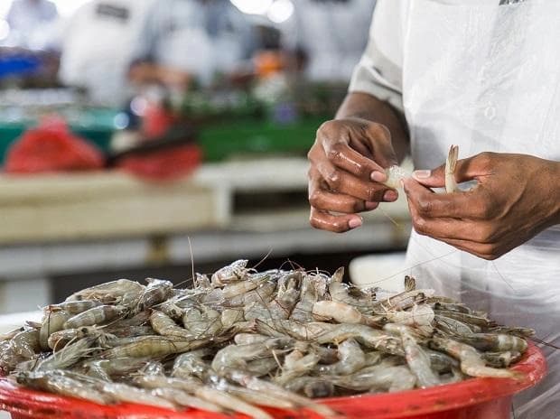 Image for post 390768