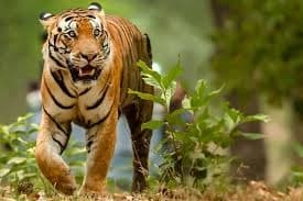 Image for post 380879