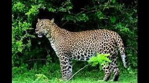 Image for post 393399