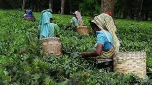 Image for post 393549