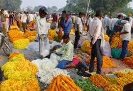 Image for post 405051