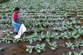 Image for post 408033