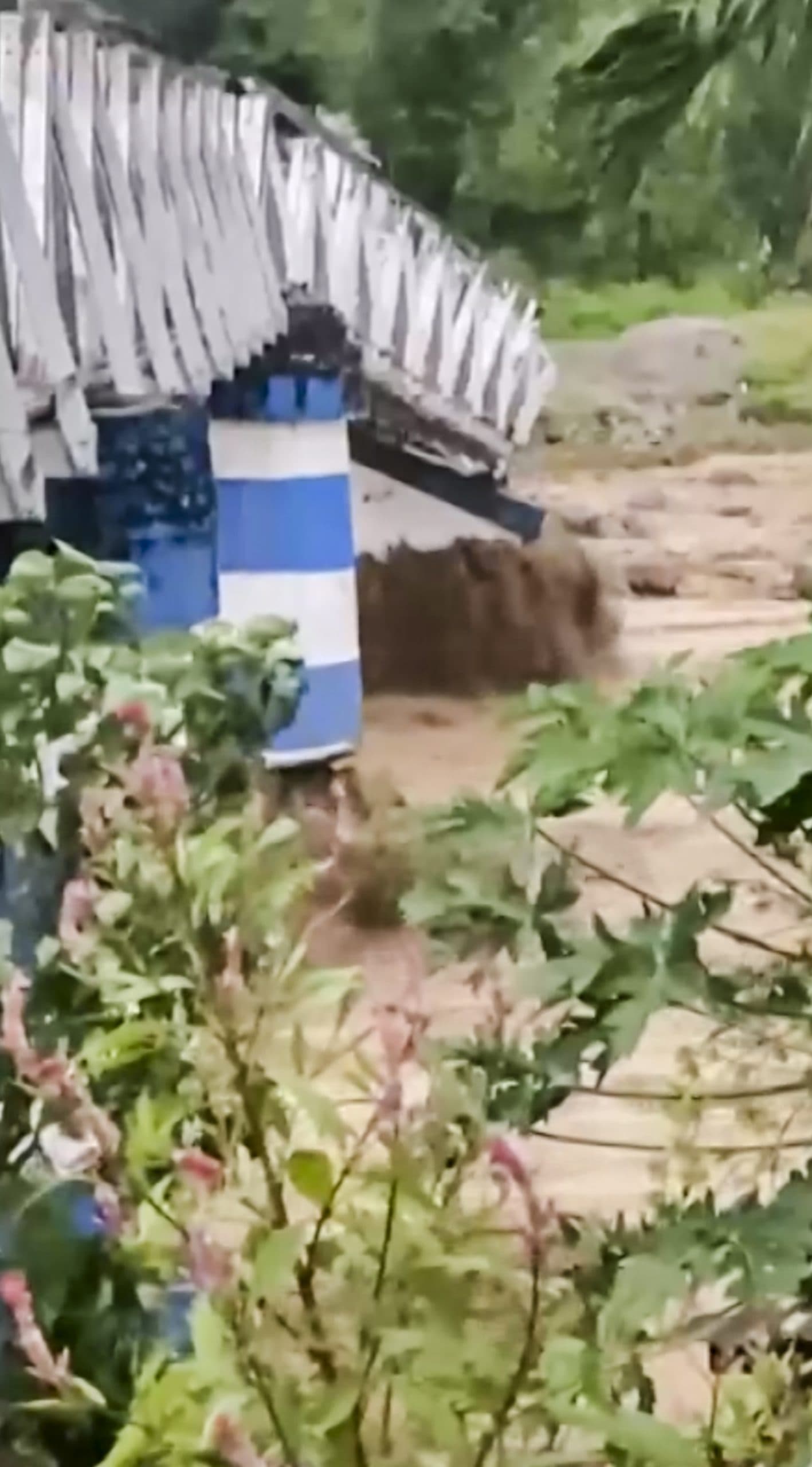 Image for post 377740