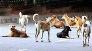 Image for post 433767