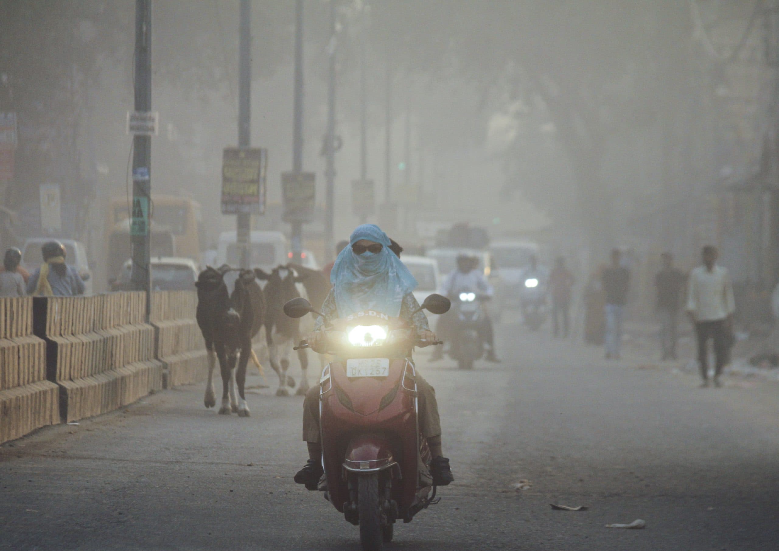 Image for post 434294