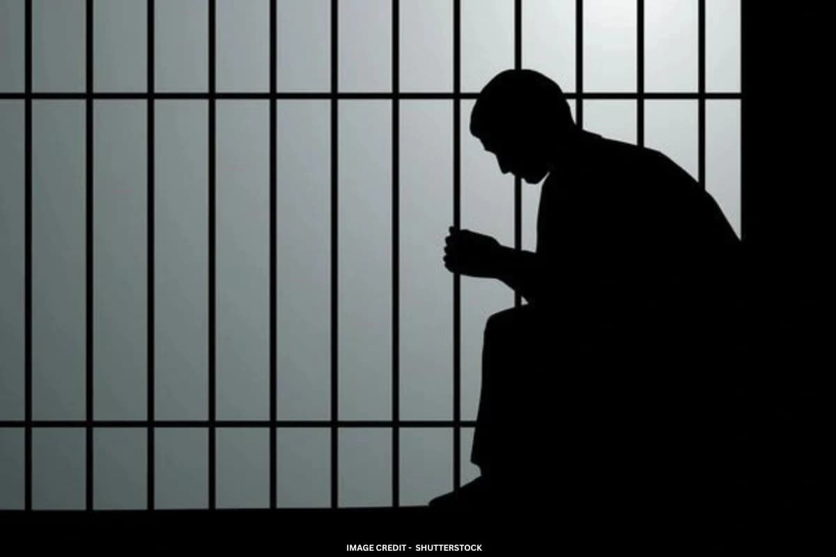 Image for post 207458