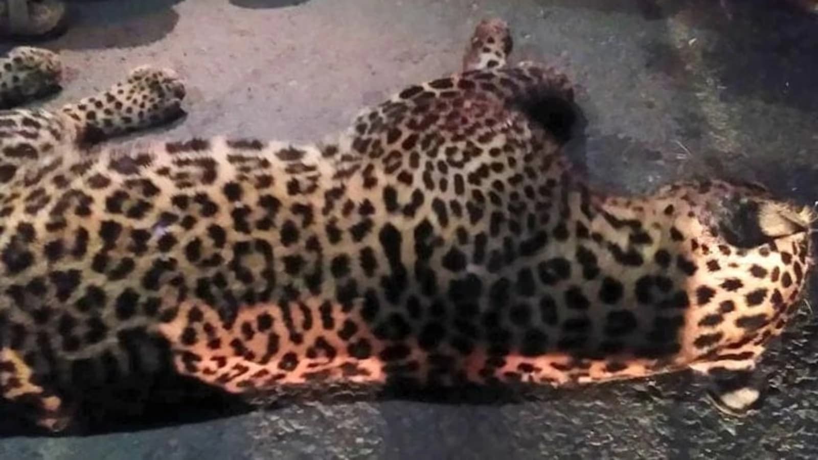 Image for post 307311