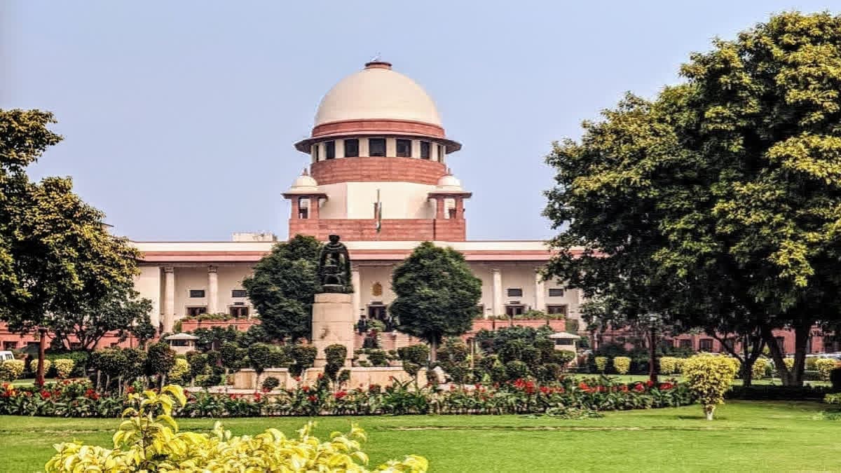 Image for post 356517