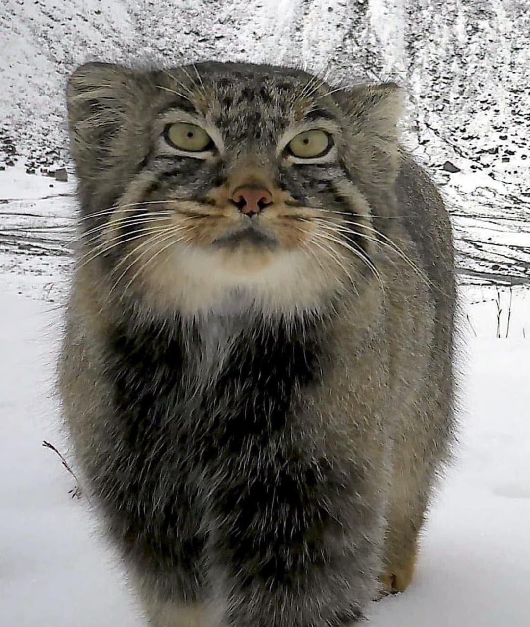 Image for post 325143