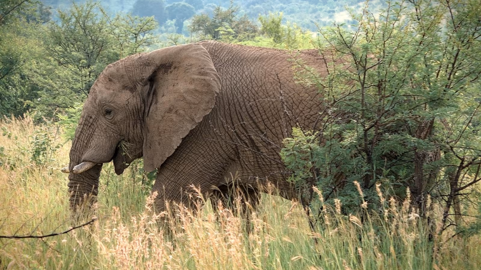 Image for post 434836