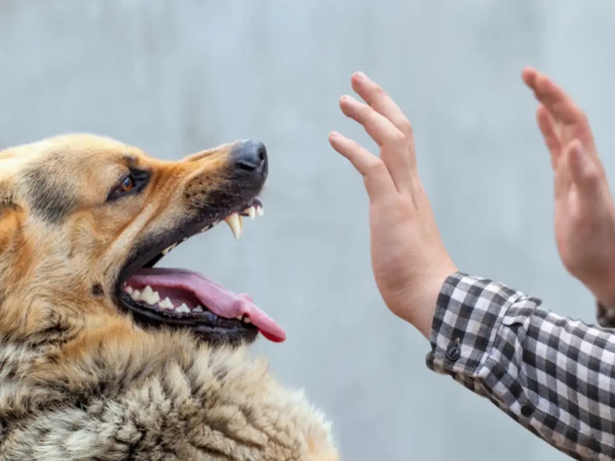 Image for post 378329