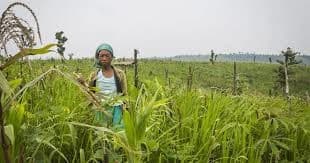 Image for post 423500