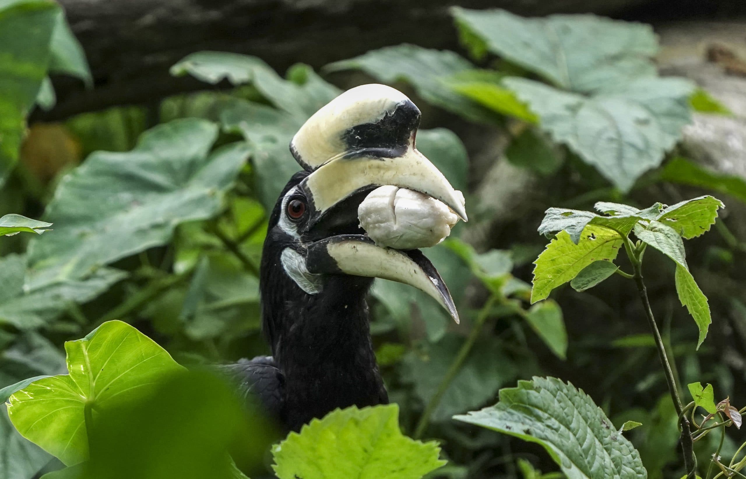 Image for post 436592