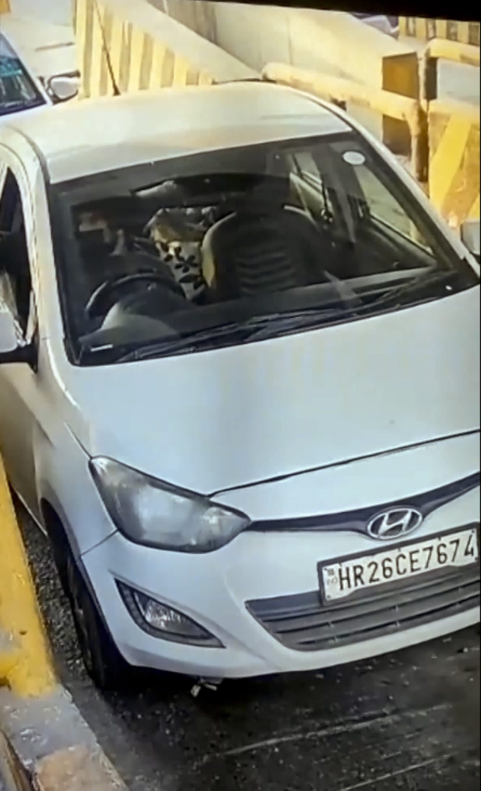 Image for post 454712